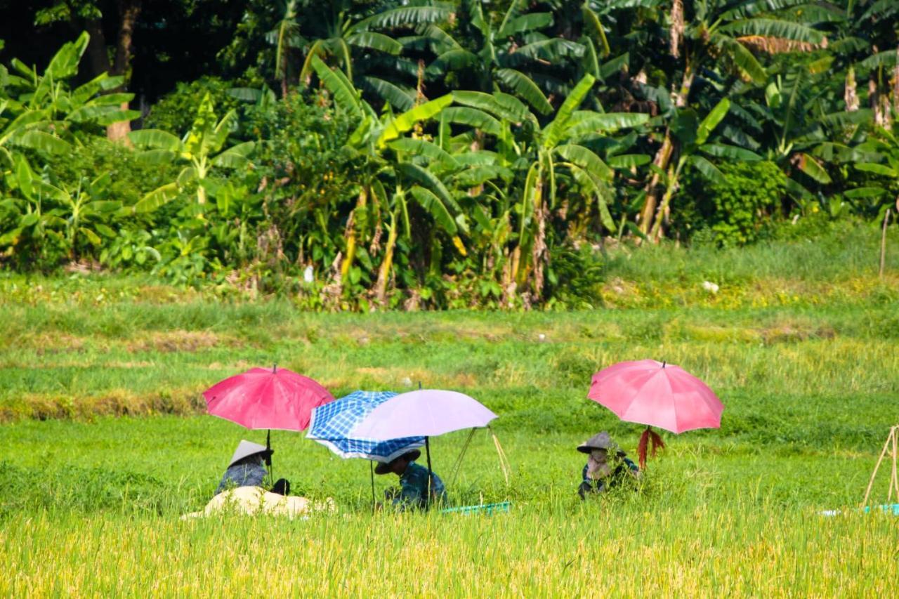 Starlight Boutique Hotel Quang Ninh  Exteriér fotografie